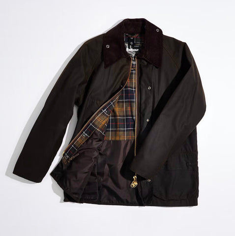 Brown Barbour