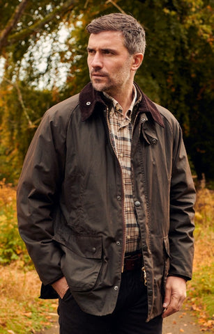 Brown Barbour